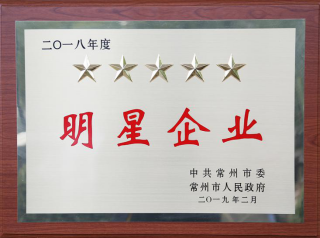 常寶股份榮獲“工業(yè)五星級(jí)企業(yè)”、“納稅金獎(jiǎng)”等多項(xiàng)大獎(jiǎng)156.png