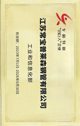 1、國家專精特新小巨人企業(yè)2023（常寶普萊森）_副本.jpg